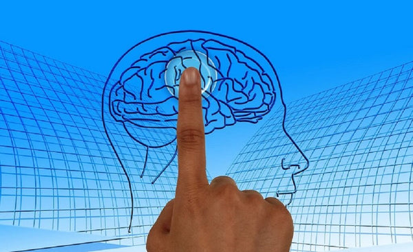 The BRAIN-SKIN Axis