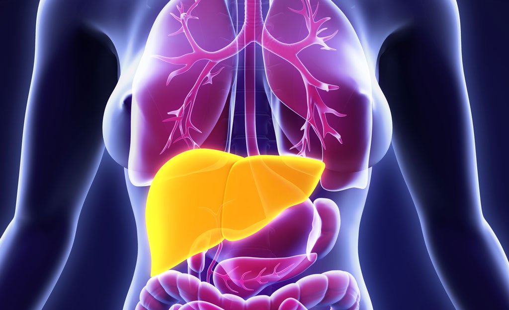 Liver Health and How It Impacts Your Hormones