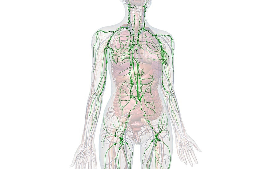 What is the Lymphatic System?