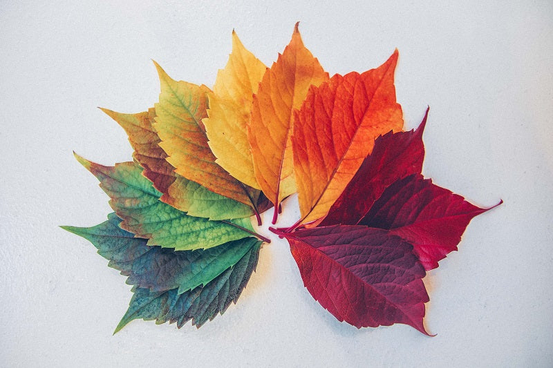 Seasons & Your Menstrual Cycle
