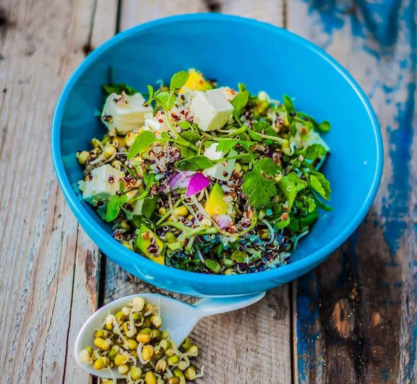Sprout, Quinoa and Avocado Salad