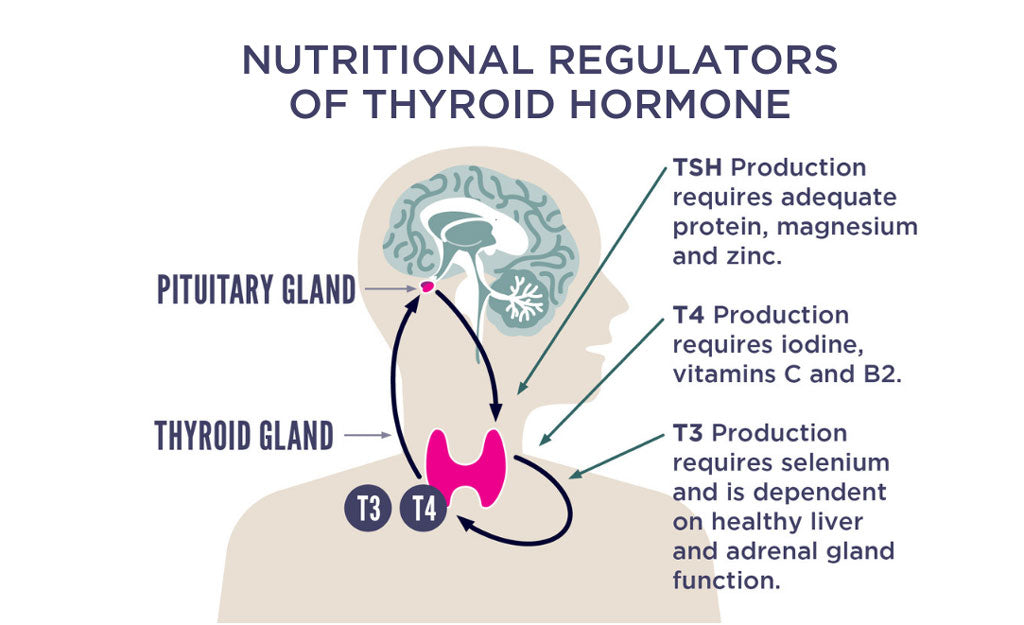 10 Tips for Better Thyroid Health