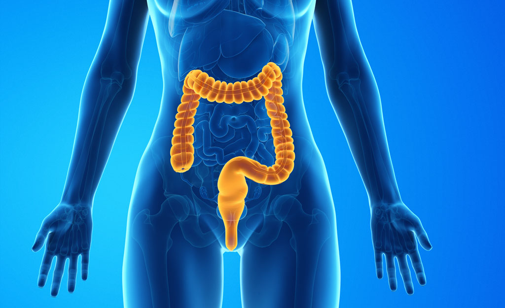 How Digestion Affects Your Hormones