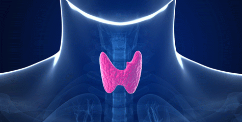 5 Treatment Methods to Improve Thyroid Function